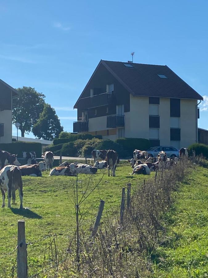 Chez Jeremy - Appartement De Edmond Les Villedieu (Doubs) 외부 사진